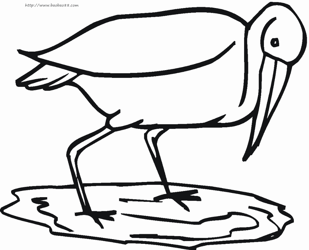 iaoءͯͨʻ Сţʻˮʻ ٶͯԼʻ