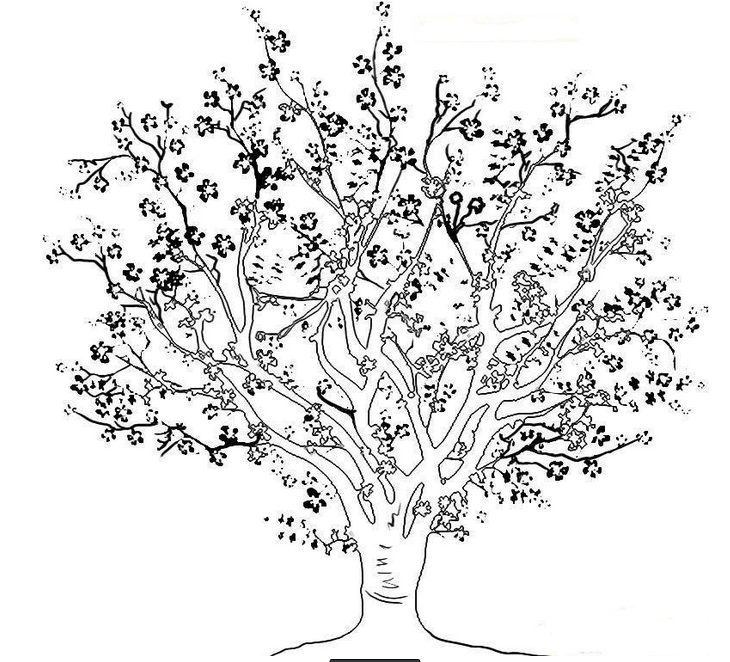 1377510114_b.gif
