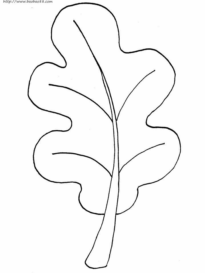 oak tree leaves coloring pages - photo #11