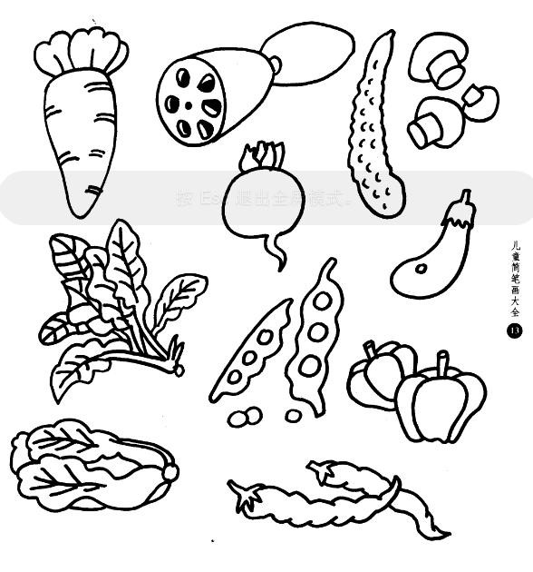 儿童简笔画植物-各种植物简笔画_儿童简笔画植物-各种植物